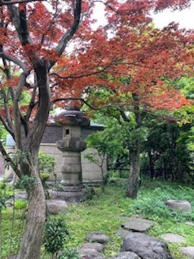 鳩山会館に投稿された画像（2024/5/7）
