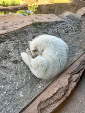 那須どうぶつ王国に投稿された画像（2024/5/7）