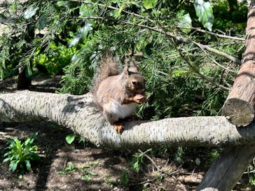 那須どうぶつ王国に投稿された画像（2024/5/7）