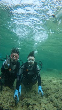 武藤潜水に投稿された画像（2024/5/7）