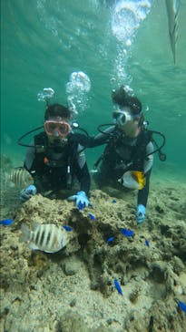 武藤潜水に投稿された画像（2024/5/7）