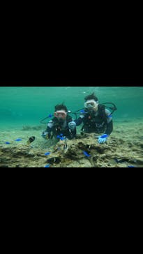 武藤潜水に投稿された画像（2024/5/7）