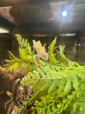 NARA IKIMONO MUSEUMに投稿された画像（2024/5/7）