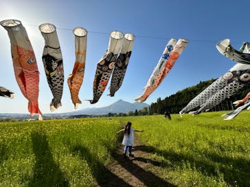 猪苗代ハーブ園に投稿された画像（2024/5/7）