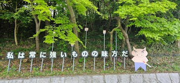 ニジゲンノモリに投稿された画像（2024/5/7）