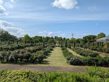 京成バラ園に投稿された画像（2024/5/7）