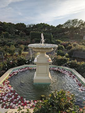 京成バラ園に投稿された画像（2024/5/7）