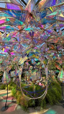 京成バラ園に投稿された画像（2024/5/7）