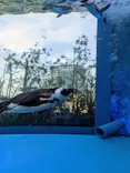 サンシャイン水族館に投稿された画像（2024/5/7）