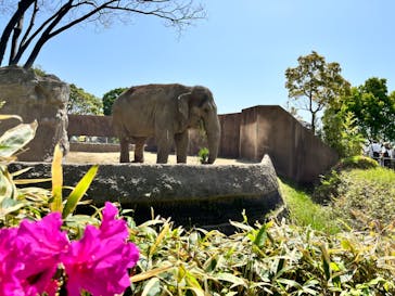日立市かみね動物園に投稿された画像（2024/5/7）