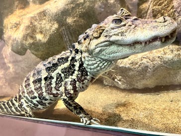 日立市かみね動物園に投稿された画像（2024/5/7）