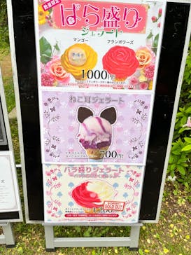 京成バラ園に投稿された画像（2024/5/7）