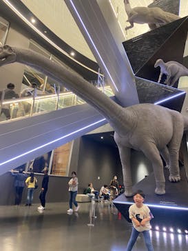 福井県立恐竜博物館に投稿された画像（2024/5/7）