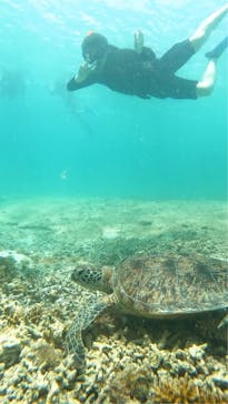 宮古島 ADVENTURE PiPi（ミヤコジマ アドベンチャー ピピ）に投稿された画像（2024/5/7）