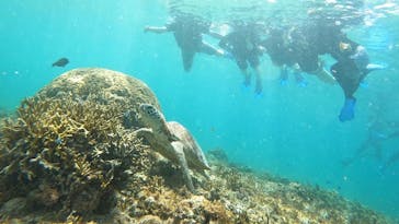 宮古島 ADVENTURE PiPi（ミヤコジマ アドベンチャー ピピ）に投稿された画像（2024/5/7）