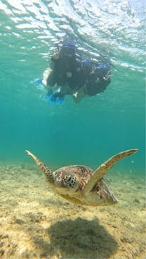 宮古島 ADVENTURE PiPi（ミヤコジマ アドベンチャー ピピ）に投稿された画像（2024/5/7）