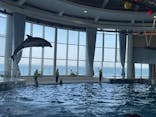 アクアワールド茨城県大洗水族館に投稿された画像（2024/5/7）