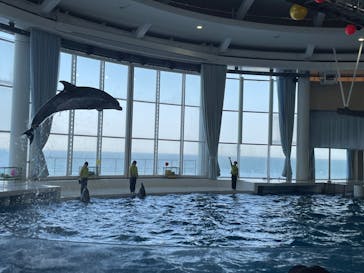 アクアワールド茨城県大洗水族館に投稿された画像（2024/5/7）
