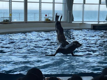 アクアワールド茨城県大洗水族館に投稿された画像（2024/5/7）