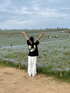 国営ひたち海浜公園プレジャーガーデンに投稿された画像（2024/5/7）