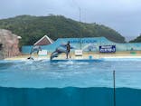 下田海中水族館に投稿された画像（2024/5/7）