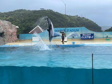 下田海中水族館に投稿された画像（2024/5/7）