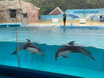 下田海中水族館に投稿された画像（2024/5/7）