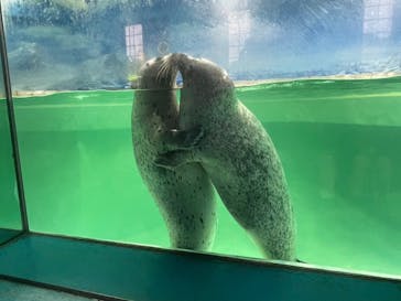 下田海中水族館に投稿された画像（2024/5/7）
