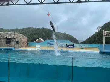 下田海中水族館に投稿された画像（2024/5/7）