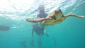 宮古島 ADVENTURE PiPi（ミヤコジマ アドベンチャー ピピ）に投稿された画像（2024/5/7）