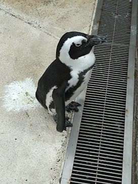 横浜・八景島シーパラダイスに投稿された画像（2024/5/7）