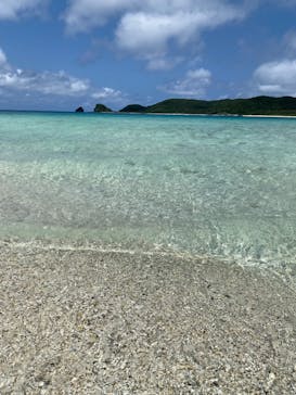 ざまみマリンアクティビティあおに投稿された画像（2024/5/7）