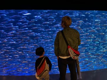 登別マリンパークニクスに投稿された画像（2024/5/7）