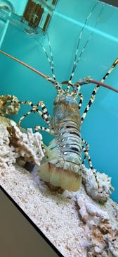 登別マリンパークニクスに投稿された画像（2024/5/7）