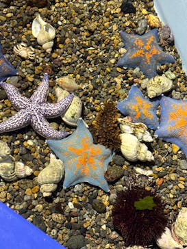 登別マリンパークニクスに投稿された画像（2024/5/7）