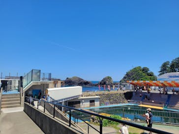 越前松島水族館に投稿された画像（2024/5/7）