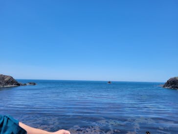 越前松島水族館に投稿された画像（2024/5/7）