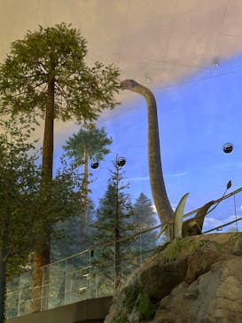 福井県立恐竜博物館に投稿された画像（2024/5/7）