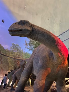 福井県立恐竜博物館に投稿された画像（2024/5/7）