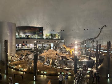 福井県立恐竜博物館に投稿された画像（2024/5/7）