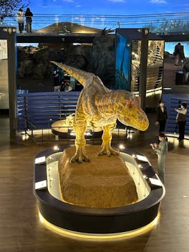 福井県立恐竜博物館に投稿された画像（2024/5/7）
