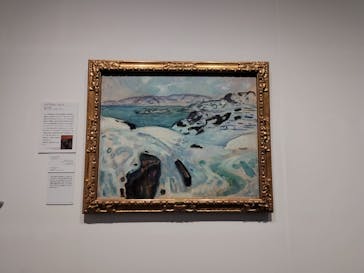 北欧の神秘（ＳＯＭＰＯ美術館）に投稿された画像（2024/5/7）