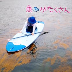 糸ヶ浜サップテラスに投稿された画像（2024/5/7）