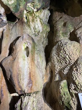 飛騨大鍾乳洞＆大橋コレクション館に投稿された画像（2024/5/7）