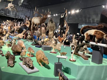 特別展「大哺乳類展３－わけてつなげて大行進」に投稿された画像（2024/5/7）