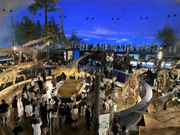 福井県立恐竜博物館に投稿された画像（2024/5/8）