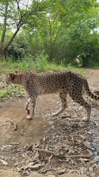 よこはま動物園ズーラシアに投稿された画像（2024/5/8）