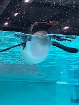 AOAO SAPPOROに投稿された画像（2024/5/8）