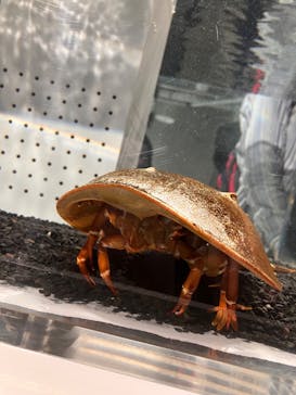 AOAO SAPPOROに投稿された画像（2024/5/8）