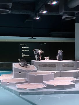 AOAO SAPPOROに投稿された画像（2024/5/8）